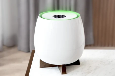 Creating A Healthy Indoor Air Environment For Your Home 2 Healthy Indoor Air Environment For Your Home with AirPure Zayn