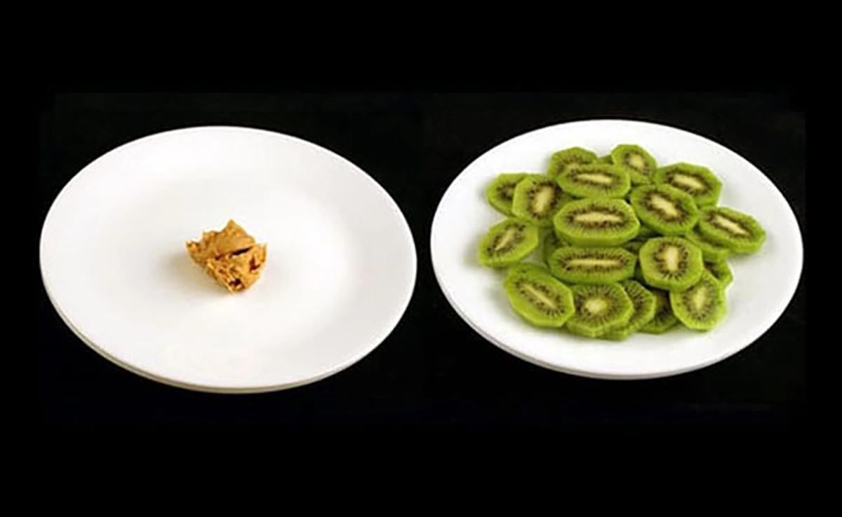 Can You Lose Weight By Exercise Alone? 2 QNET