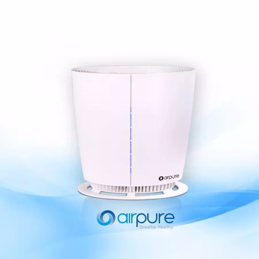 5 Signs That You Need An Air Purifier 3 QNET