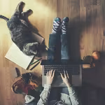 small-business-option-direct-selling