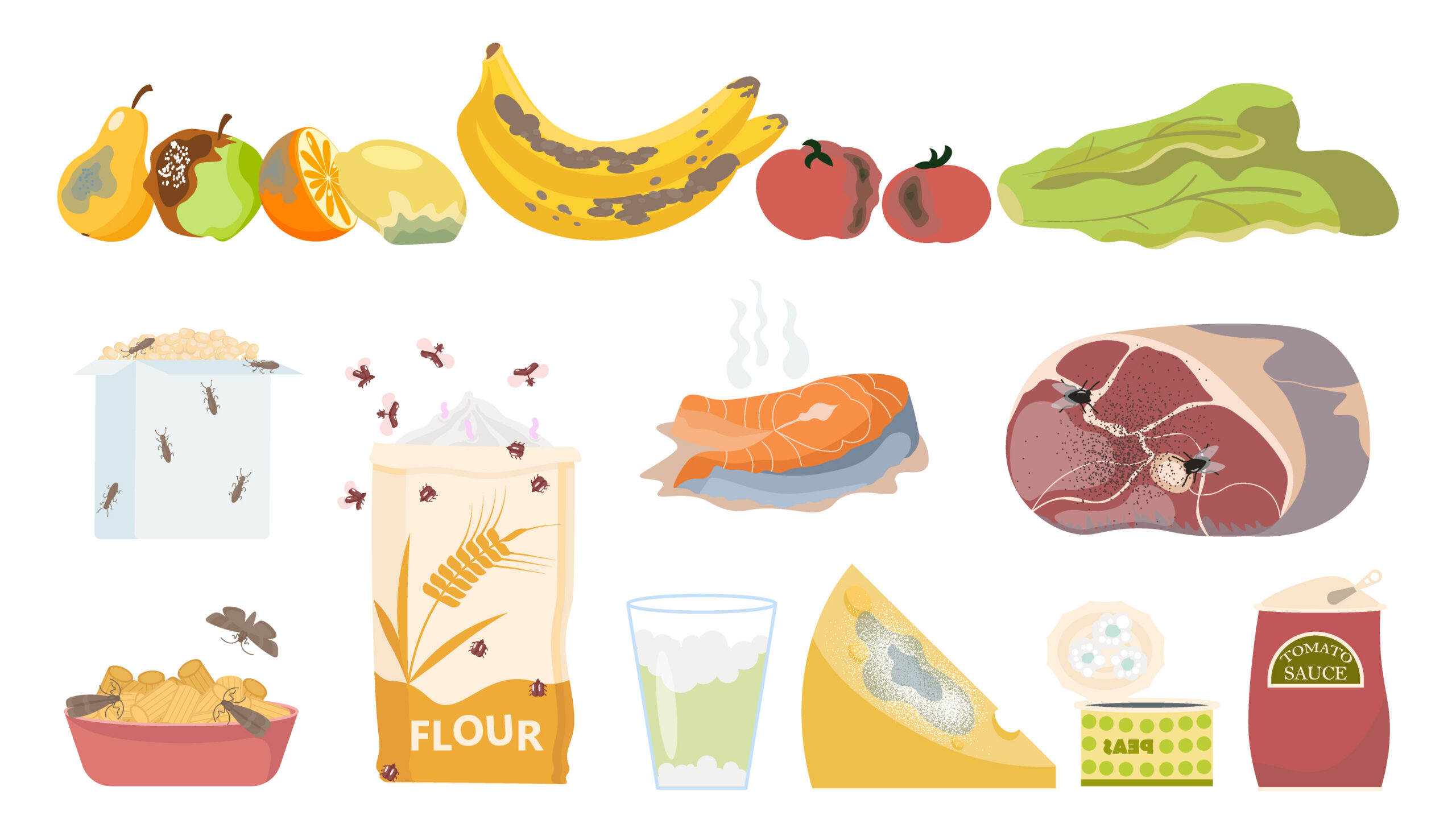 Fruits, vegetables, and food items rotting after passing their expiration dates.