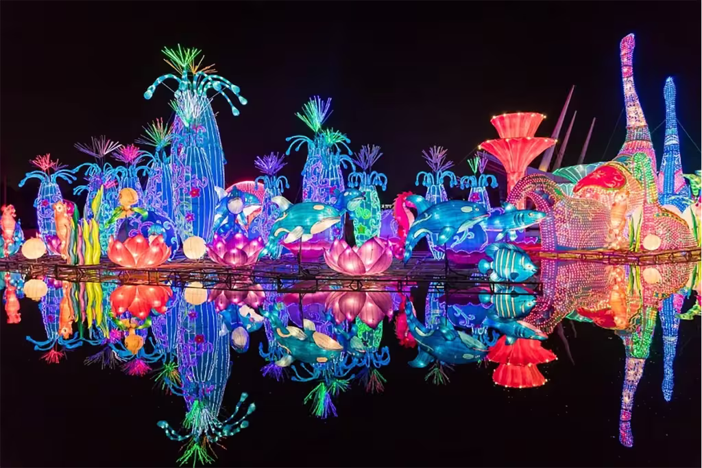 Best Things To Do In Dubai When You Have 24 Hours 21 Dubai garden show at night with variety of lights
