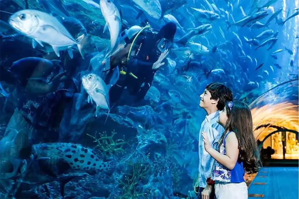 Best Things To Do In Dubai When You Have 24 Hours 19 Kids smiling at a aquarium diver waving hello